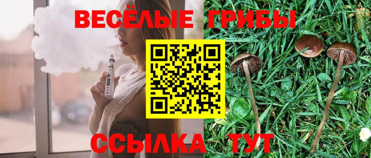 Псилоцибиновые грибы MAGIC MUSHROOMS  Псилоцибиновые грибы Cubensis  Бузулук  Вход с VPN 